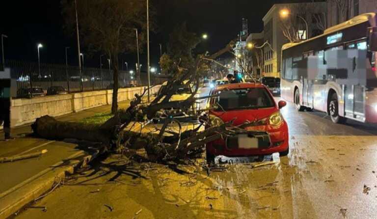 Bari, albero si abbatte su un’auto sul lungomare: lievi ferite per gli occupanti del mezzo