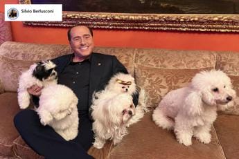 Galleria foto 'Berlusconi annuncia new entry ad Arcore: “Dopo Dudù ecco Drago e Lupo”' - foto 1