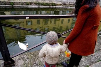 Galleria foto 'Bonus genitori disoccupati o monoreddito con figli disabili: domande dal 1 febbraio' - foto 1