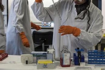 Galleria foto 'Carenza farmaci, Schillaci: “Ricorrere a preparati galenici, online mappa farmacie”' - foto 1
