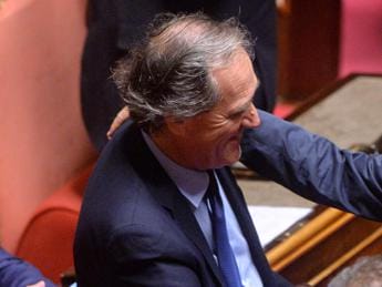 Galleria foto 'Ddl pro life, Menia: “Opposizioni ringhiano a vanvera, difendo diritto alla vita”' - foto 1