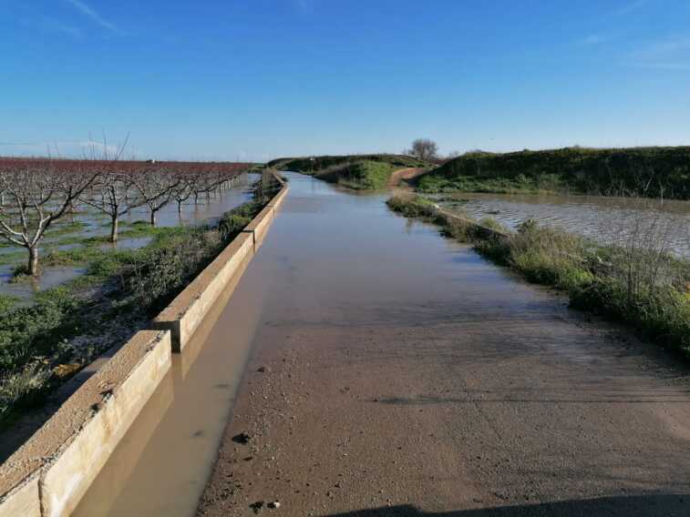 Maltempo, esonda il fiume Ofanto. Chiuso l’accesso a due contrade a San Ferdinando di Puglia – FOTO