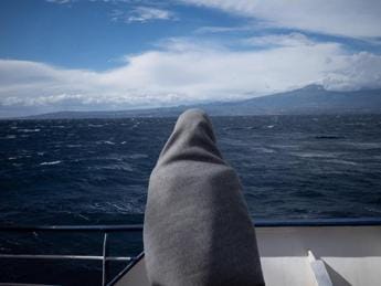 Galleria foto 'Geo Barents assegnata al porto di Ancona. Msf: “Troppo lontano”' - foto 1