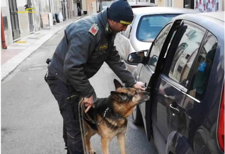 Droga nel Foggiano: sequestrati oltre 3 chili di sostanze stupefacenti. Segnalati 55 assuntori