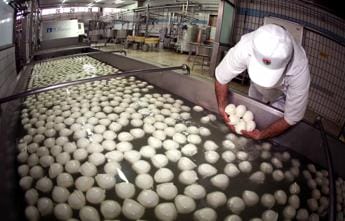 Galleria foto 'Mozzarella Bufala Campana Dop più acquistata a Nord-Ovest, all’estero in Francia' - foto 1