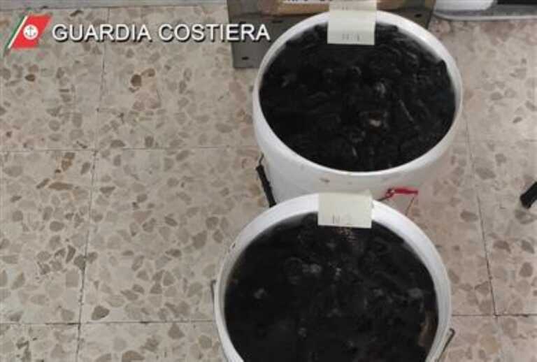 Galleria foto 'Taranto, sorpreso con 63 chili di oloturie: denunciato per disastro ambientale' - foto 1