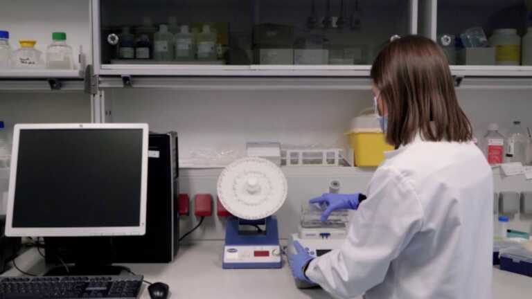 Tumore al pancreas, lo studio dell’UniBa: «Profarmaci della Gemcitabina superano la chemioresistenza»