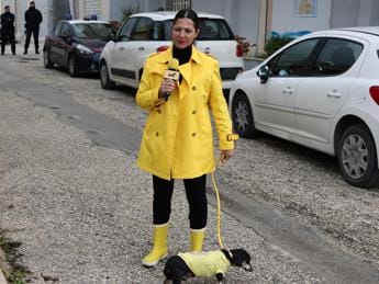 Galleria foto '‘Striscia’: Petyx aggredita a Campobello di Mazara' - foto 1