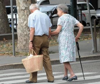 Galleria foto '“Strutture per over 65, con case ai giovani che li accudiscono”: ecco la pdl di Fratelli d’Italia' - foto 1