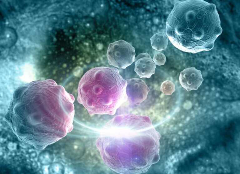 Tumore al pancreas, ricostruito l’ecosistema cellulare: uno studio apre la strada al trattamento