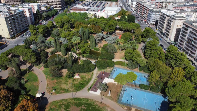 Più alberi nei capoluoghi: Bari prima in Puglia con 30 mila piante. Seguono Foggia e Taranto