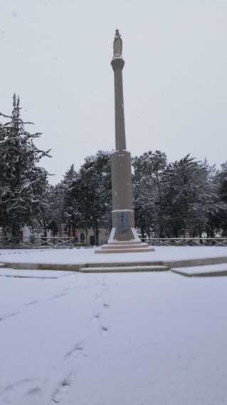 Galleria foto 'Nevica nel Barese: scuole chiuse in alcuni centri. Fiocchi anche sul capoluogo – FOTO e VIDEO' - foto 5
