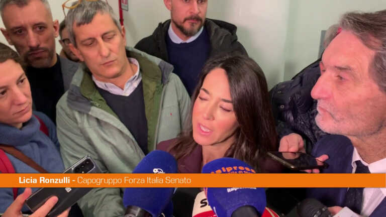 Galleria foto 'Ronzulli “In Lombardia ci aspettiamo grande risultato”' - foto 1