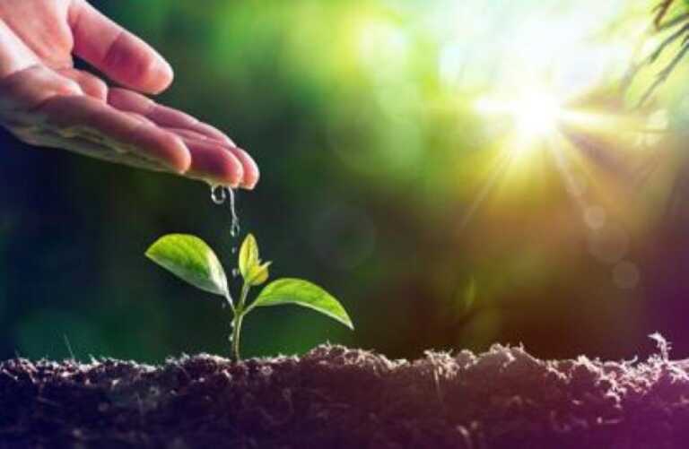 Agricoltura, nuove opportunità per gli under 40 pugliesi dal Psr 2014-2022