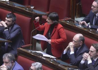 Galleria foto 'Anarchici, Serracchiani: “Giurì faccia luce su parole Donzelli”' - foto 1