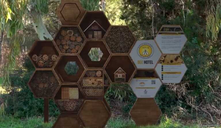Un’aula-museo all’aperto e 12 arnie: caccia ai fondi per il parco delle api al Rauccio
