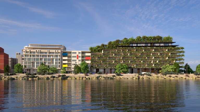Il bosco verticale di Boeri? Non è la soluzione: «Basta auto e cemento, a Bari serve il verde»