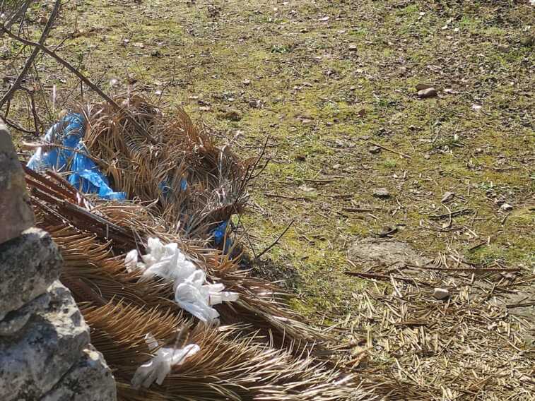 Donna trovata morta in campagna a Santeramo: il giallo dell’auto vicino al corpo