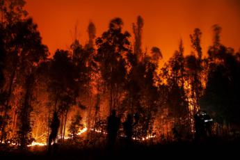 Galleria foto 'Cile, maxi incendi nei boschi: almeno 23 morti' - foto 1