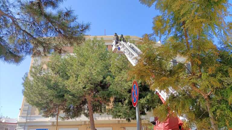 Foggia, drone resta incastrato su un albero: traffico in tilt e i vigili del fuoco per recuperarlo