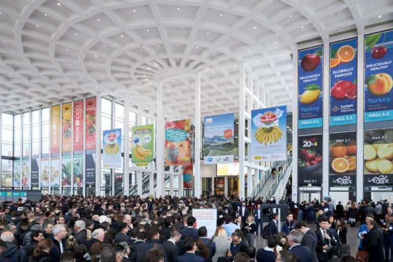 La Puglia a Berlino per Fruit Logistica con 10 aziende agricole: «Regione leader per export in Germania»