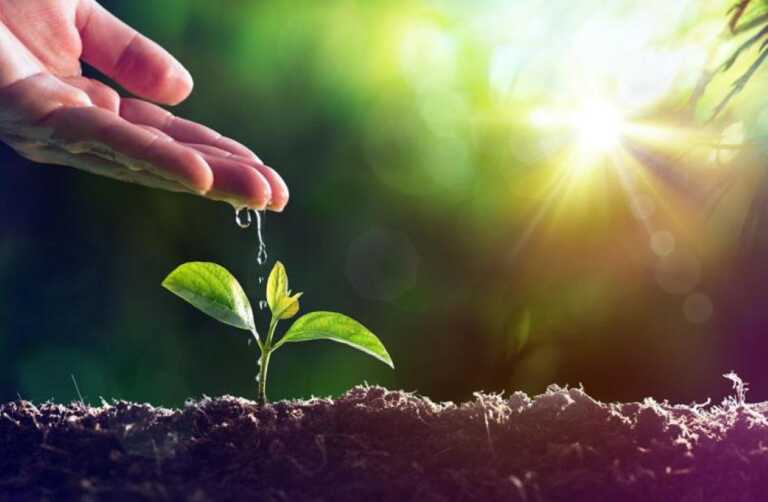 In Puglia oltre 13mila giovani nei campi: crescono le aziende agricole condotte da under 35