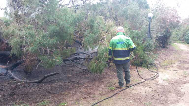 Otranto, sorpreso ad appiccare un incendio in uno stabilimento balneare: arrestato 40enne – VIDEO