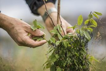 Leonardo, nasce un’area verde nel sito di Foggia