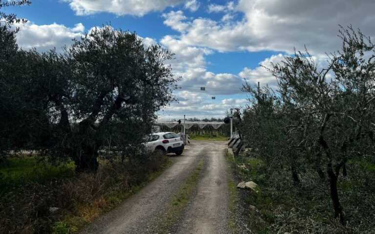 Cadavere carbonizzato nelle campagne di Barletta: la verità sul decesso rimandata di altre 24 ore