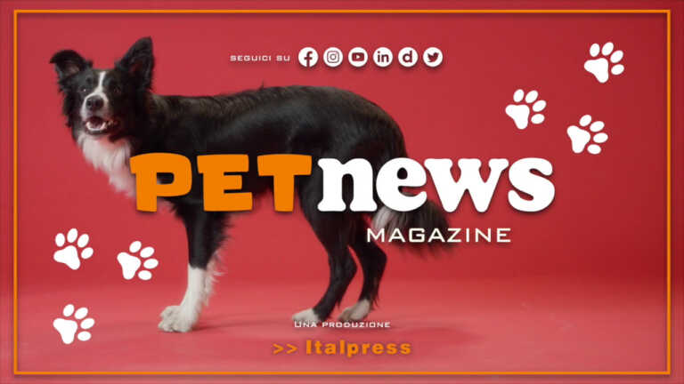 Galleria foto 'PetNews Magazine – 31/1/2023' - foto 1