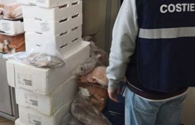 Surbo, prodotti ittici scaduti sequestrati in un locale etnico: multa da oltre 4mila euro