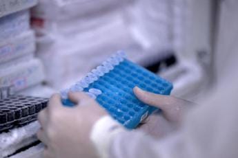Shigellosi, allarme Ecdc su epidemia: cos’è, sintomi