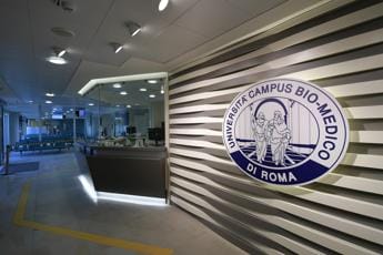 Galleria foto 'Università, il modello campus si diffonde anche in Italia: ecco la mappa' - foto 1