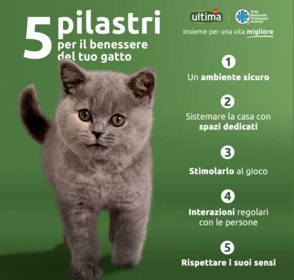 Galleria foto 'Ultima Petfood ed Enpa insieme in un progetto per gatti e cani' - foto 1