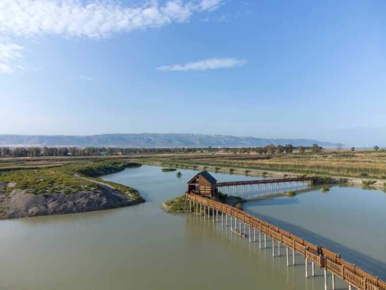 Galleria foto 'Giornate del paesaggio. dalla laguna del Re al museo archeologico' - foto 1
