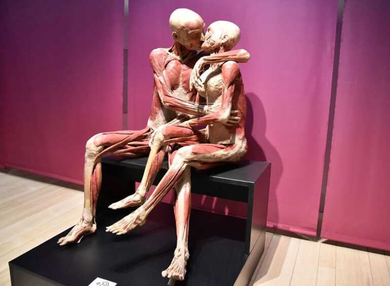 Bari, chiude “Real Bodies”: oltre 45.600 i visitatori in più di tre mesi. Successo anche per “I love Lego”
