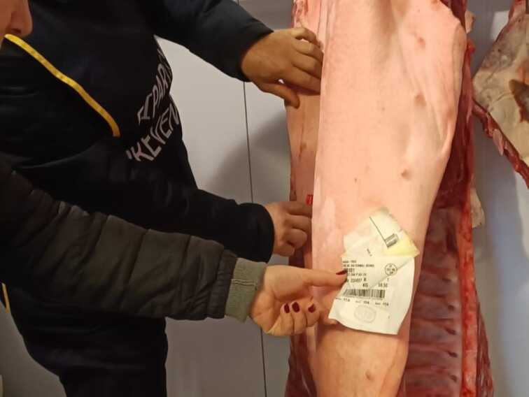Allarme trichinosi nel Foggiano: tre casi in un Comune della provincia. Controlli della Asl sulla carne