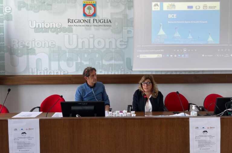 In Puglia nasce la Banca del colostro equino: progetto per la valorizzazione e la tutela delle razze autoctone