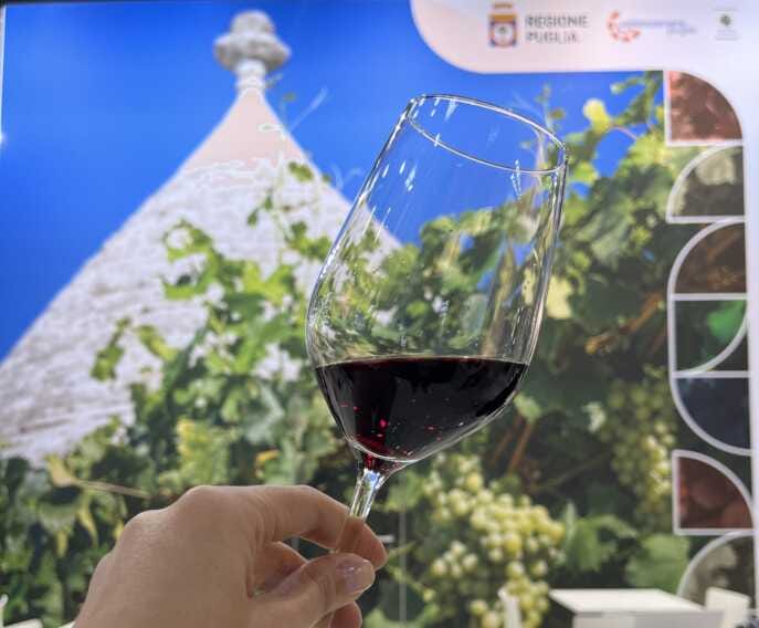 Vini pugliesi in vetrina in Germania: 54 cantine e centinaia di etichette e ProWein 2023