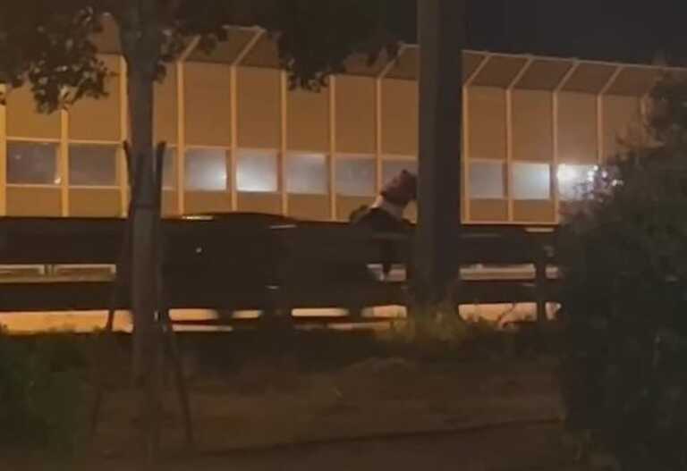 Brindisi, scavalca il guardrail e percorre a piedi la superstrada – VIDEO