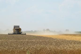 Galleria foto 'Agricoltura, De Carlo (Fdi): “Pdl per stop vincolo a sperimentazione in campo Tea”' - foto 1