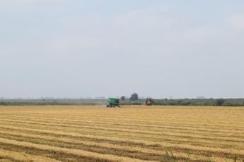 Galleria foto 'Agricoltura, Fontana (Clan): “Sfida futura è produrre di più in modo sostenibile”' - foto 1
