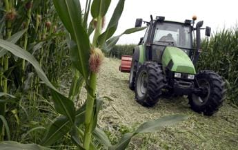 Galleria foto 'Agricoltura, Ismea: “Nel 2022 produzione in calo e costi alle stelle”' - foto 1