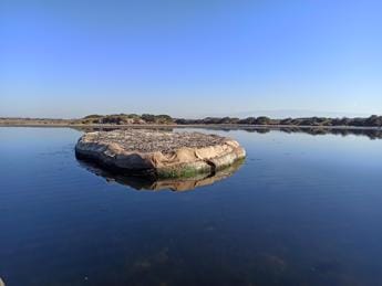 Galleria foto 'Ambiente, inizia a popolarsi l’isolotto fatto di gusci di cozze nel Golfo di Oristano' - foto 1