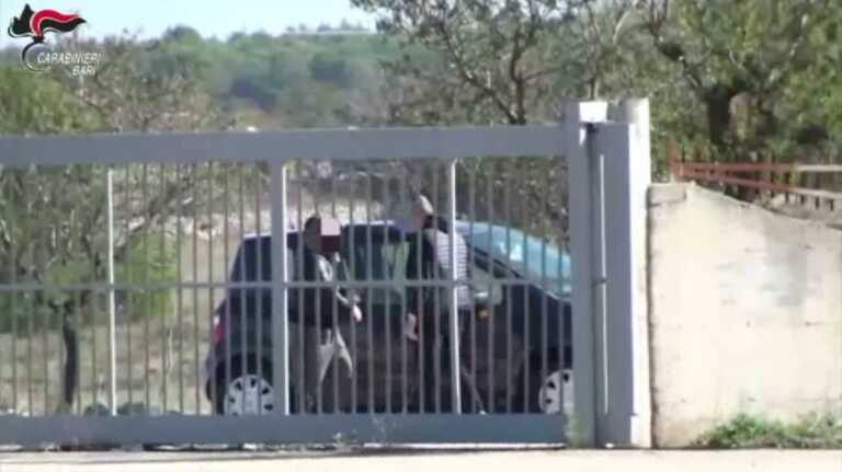Altamura, definitive le condanne per mafia, tentato omicidio ed estorsione: 35 arresti – VIDEO