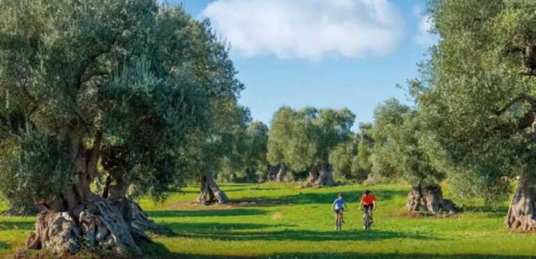 Al via Puglia bike destination: l’evento sul turismo su due ruote in Fiera del Levante