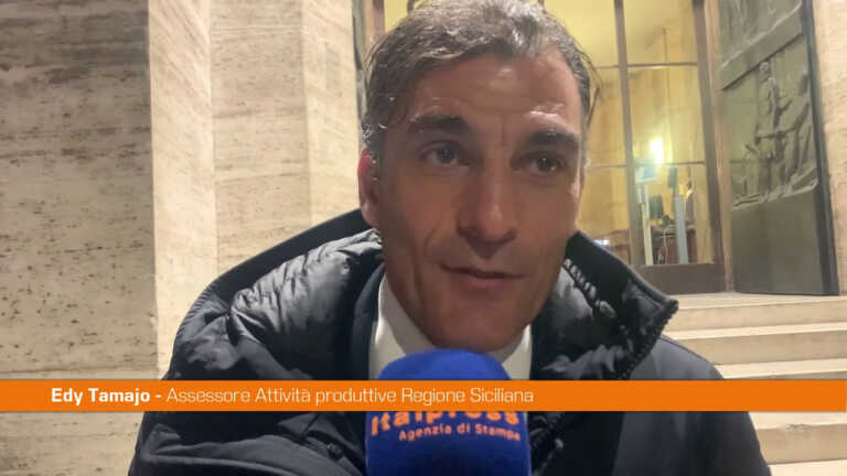 Galleria foto 'Almaviva, Tamajo “Presto in Cdm provvedimento per tutela occupazione”' - foto 1