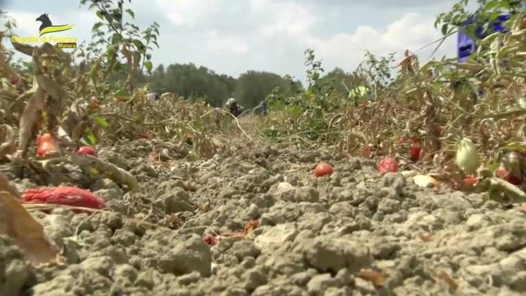 Riciclaggio in un’azienda ortofrutticola del Materano: otto arresti. Indagate 17 persone – VIDEO