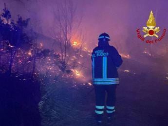 Galleria foto 'Incendio a Montegrino Valtravaglia, in fiamme decine di ettari di bosco' - foto 1