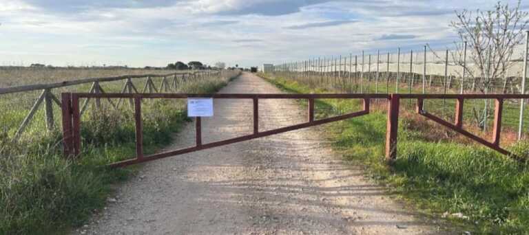 Galleria foto 'Crolla il muro a secco della staccionata: chiuso al pubblico il parco di Lama Balice' - foto 1